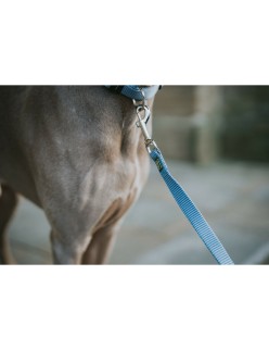 Trela para Cães Hunter Azul 100 cm