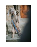 Trela para Cães Hunter Azul 100 cm