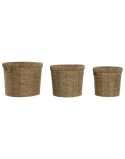 Set de pots de fleurs Home ESPRIT Marron Métal Fibre Tropical 36 x 36 x 29 cm