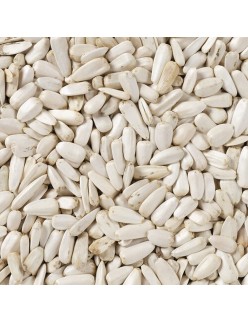 Mangime per uccelli Deli Nature 2 Kg Semi di Girasole
