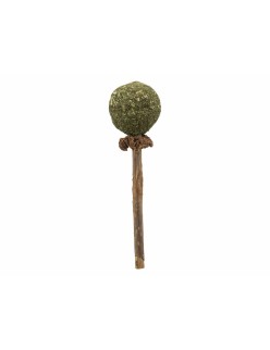Snack for Cats Trixie Catnip/Matatabi