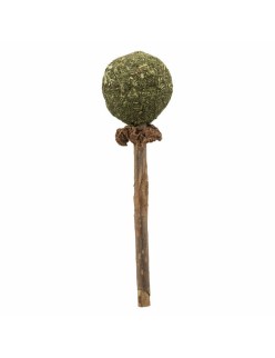 Collation pour Chat Trixie Catnip/Matatabi