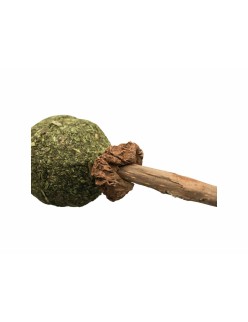 Collation pour Chat Trixie Catnip/Matatabi