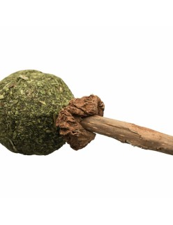 Collation pour Chat Trixie Catnip/Matatabi