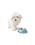 Comedero para Perro Hunter Mayfair Azul 350 ml