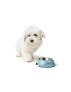 Comedero para Perro Hunter Mayfair Azul 350 ml