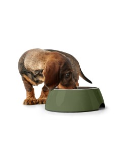 Comedero para Perro Hunter Verde 350 ml