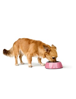 Comedero para Perro Hunter Chester Rosa 350 ml
