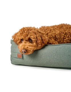 Cama para Perro Hunter Belluno Verde 80x60 cm