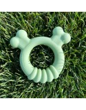 Mordedor de perro Nylabone SENSORY TACTILE RING Verde Manteca de cacahuete Pollo S