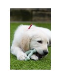 Mordedor de perro Nylabone SENSORY TACTILE RING Verde Manteca de cacahuete Pollo S