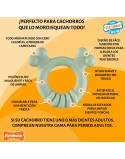 Mordedor de perro Nylabone SENSORY TACTILE RING Verde Manteca de cacahuete Pollo S