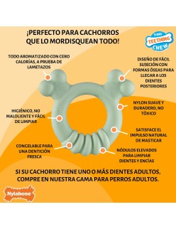 Mordedor de perro Nylabone SENSORY TACTILE RING Verde Manteca de cacahuete Pollo S