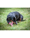 Mordedor de perro Nylabone WISHBONE Rosa Pollo XS