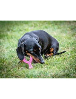 Mordedor de perro Nylabone WISHBONE Rosa Pollo XS