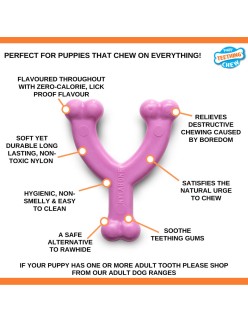 Mordedor de perro Nylabone WISHBONE Rosa Pollo XS