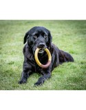 Mordedor de perro Nylabone Ring Amarillo Hamburguesa L