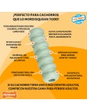 Mordedor de perro Nylabone SENSORY TACTILE STICK Verde Manteca de cacahuete Bacon S