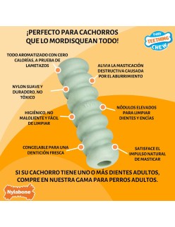 Jouet pour chien Nylabone SENSORY TACTILE STICK Vert Beurre de cacahuètes Bacon S