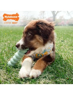 Mordedor de perro Nylabone SENSORY TACTILE STICK Verde Manteca de cacahuete Bacon S