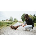 Jouet pour chien Hunter NEBRASKA Gris Cheval