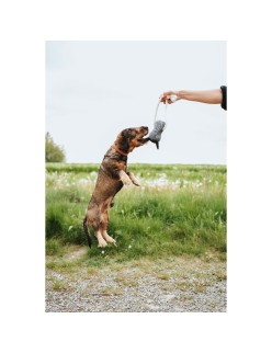Juguete para perros Hunter NEBRASKA Gris Caballo
