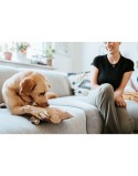 Juguete para perros Hunter Tough Tundra Beige Mapache