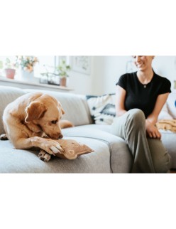 Juguete para perros Hunter Tough Tundra Beige Mapache