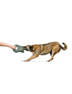 Juguete para perros Hunter Tough Tundra Verde Búho