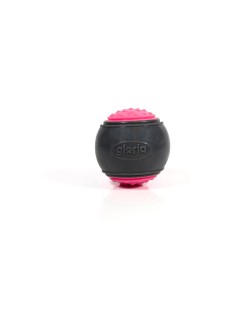 Pelota para Mascotas Gloria PLAY AND RUN Rosa TPR M 6,35 cm 2 Unidades