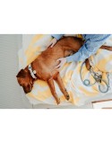 Collare per Cani Hunter MALIA M Azzurro 12 40-49 cm