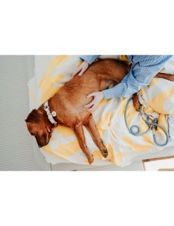 Collare per Cani Hunter MALIA M Azzurro 12 40-49 cm