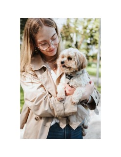 Imbracatura per Cani Hunter DIVO UP Beige L