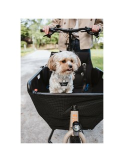 Imbracatura per Cani Hunter DIVO UP Beige L