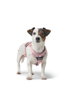 Imbracatura per Cani Hunter DIVO UP Rosa L