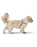 Imbracatura per Cani Hunter SOHO MINI Lilla XS/S