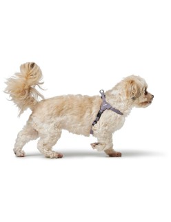 Imbracatura per Cani Hunter SOHO MINI Lilla XS/S