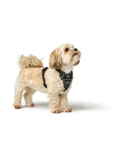 Imbracatura per Cani Hunter DIVO UP Nero S/M