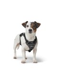 Imbracatura per Cani Hunter DIVO UP Nero S