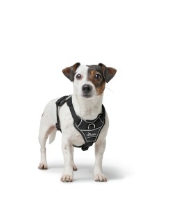 Imbracatura per Cani Hunter DIVO UP Nero S