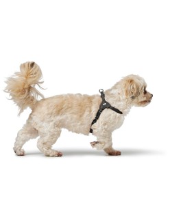 Imbracatura per Cani Hunter SOHO MINI Nero
