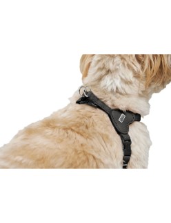 Imbracatura per Cani Hunter SOHO MINI Nero