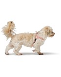 Imbracatura per Cani Hunter SOHO MINI Rosa XS/S