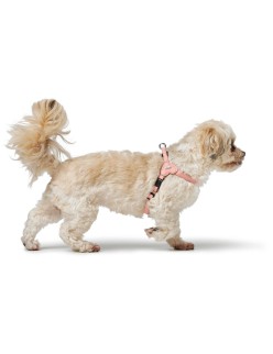 Imbracatura per Cani Hunter SOHO MINI Rosa XS/S