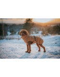 Ropa para mascotas Hunter PAXSON Marrón Poliéster