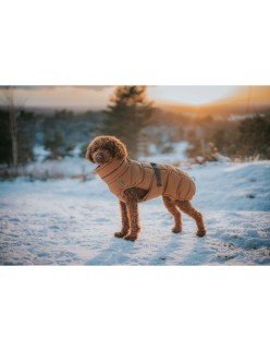 Ropa para mascotas Hunter PAXSON Marrón Poliéster
