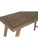Console Home ESPRIT Marron Sapin 120 x 50 x 75 cm