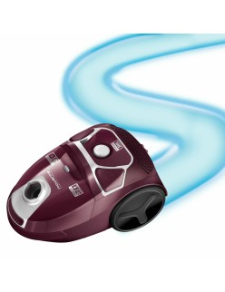 Aspirador com Saco Rowenta Roxo Violeta 2000 W 750 W (Recondicionado B)