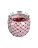 Bougie Parfumée Acorde SS APLE&CIN Pomme Canelle (12 Unités)