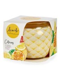 Duftkerze Acorde S.S. CITRUS Zitro (12 Stück)